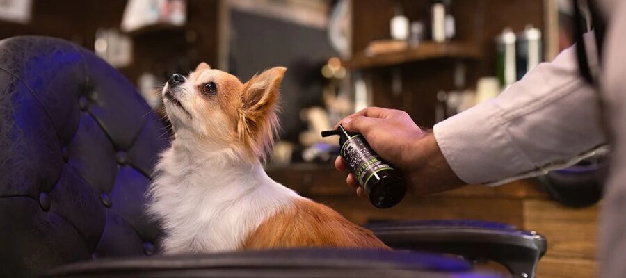 Go through the barber shop