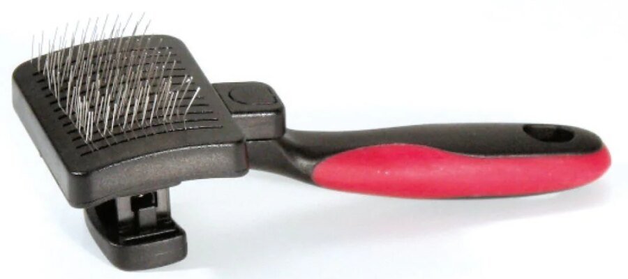 Don't know how to deal with the loss of your dog? Here are some useful tips