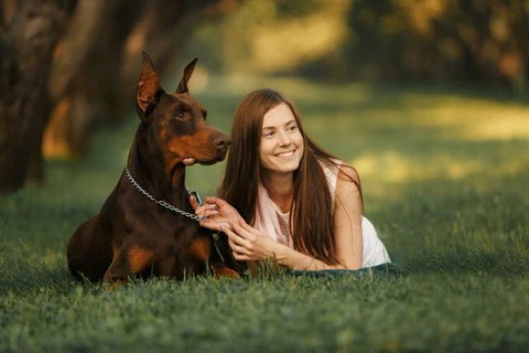 Human-Dog Friendship: some useful tips