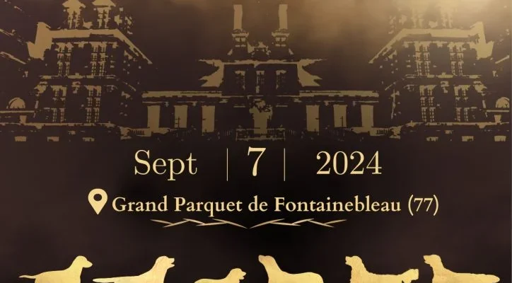 national breeder retriever, September 7, 2024