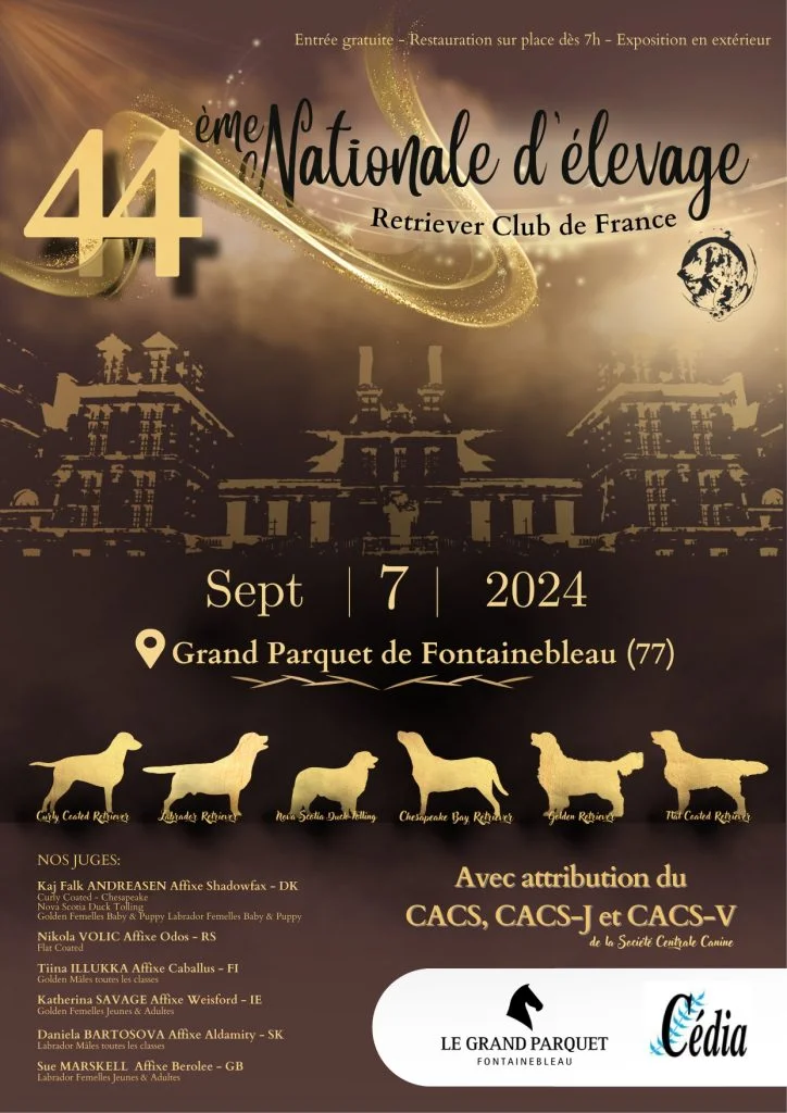 National Retriever breeding on September 7, 2024 in Fontainebleau (77)